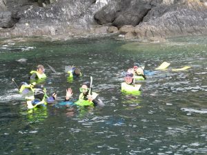 snorkelling at kedge island