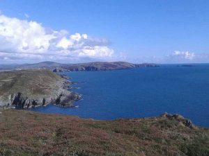 view from sherkin