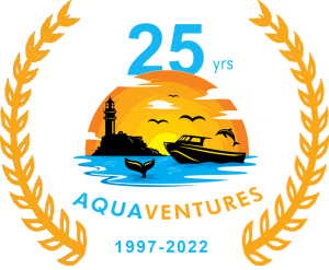 25 year emblem