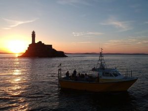 Fastnet lighthouse and Boat Charter