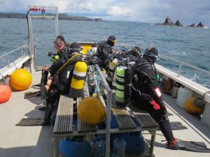 divers at stags