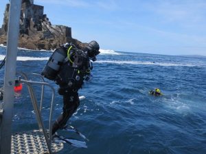 divers at fastnet