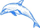 Dolphin icon