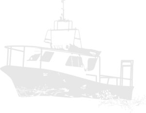 Boat icon