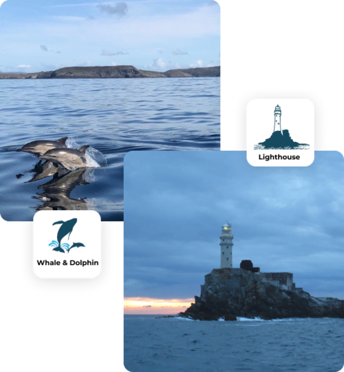 Fastnet lighthouse & wildlife tour