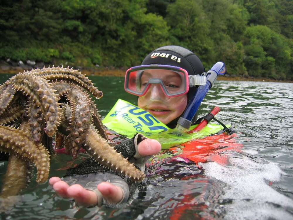 snorkeller with starfish