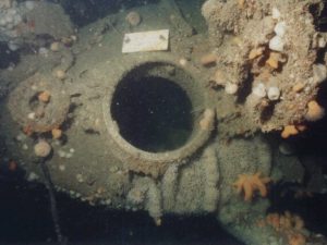 Open Hatch