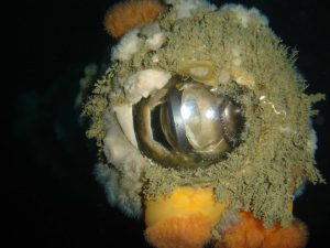 Periscope up close