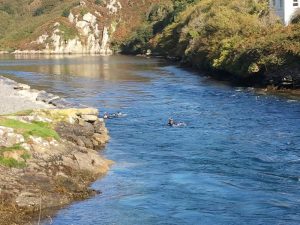 Rapids at lough hyne