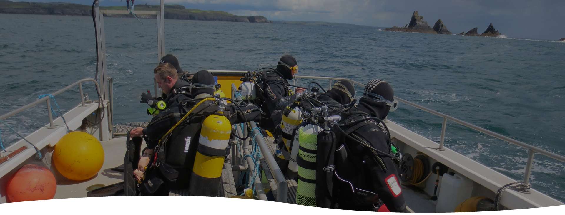 divers at the stags